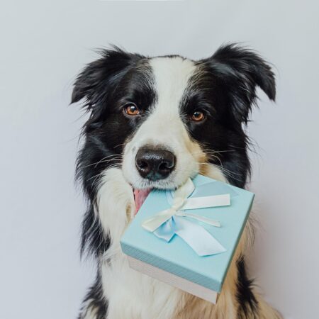 Geschenkgutschein 50,00€